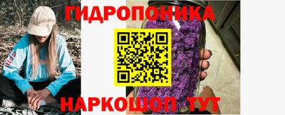хмурый Малоярославец