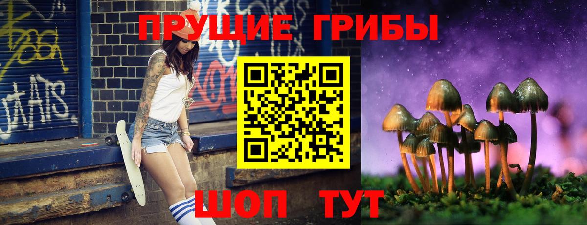 Псилоцибиновые грибы Psilocybe Энгельс