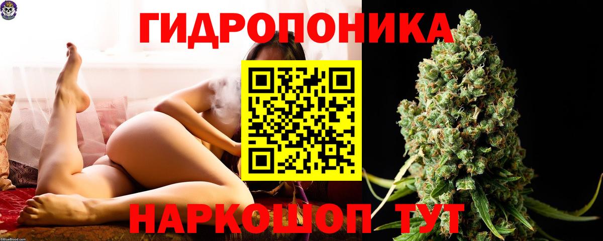Бошки марихуана VHQ Энгельс